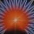 Columbia Pictures Television 1982