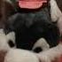 Jack Stauber Dog Nightmare
