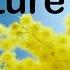 Billie Eilish My Future Lyrics