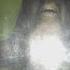 ELOY ASTRAL ENTRANCE MASTER OF SENSATION