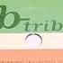 B Tribe Nobody Understands Nevin S Club Mix