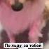 По льду за тобой иду По тонкому льду