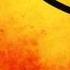 Mango Maniax Hit The Floor