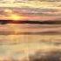 Natalia Tsarikova Nightwish Sleeping Sun