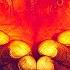 Fiji Tequila Sunrise Audio