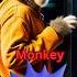 Fascinating Monkey Facts Did You Know Monkeys Didyouknow Animals Shorts