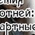 Ольга Коротаева Академия оборотней нестандартные