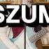 KAŚKA SOCHACKA SZUM Instrumental Podkład Karaoke Z Tekstem