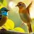 Summer S Here Birdsong AI Magic With Feathered Friends AIinNature GoodVibes