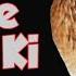 Raat Ki Liye Batair Ki Awaz Batair Ki Awaz Raat Ki Liye Quail Sounds For Night Female Quail Calls