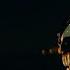 Venom The Last Dance Eddie Brock Tribute Venom Death