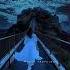 KISI KHUBSURAT PARI JAISI HOGI Slowed And Reverb Aesthetic Shorts Lyrics Lofi Tag Trending