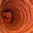Intestines Slowed By Sitting Long Hours Animation Gut Health Human Anatomy Stomach AI Art 06