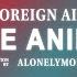 Foreign Air Free Animal Lyrics