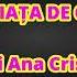 VIATA VIATA DE CE TRECI VALI VIJELIE KARAOKE