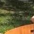 Madeleine S Garden Acoustic Lapslide Instrumental