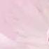 NICKI MINAJ DID IT ON EM INSTRUMENTAL