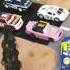 DISNEY PIXAR CARS Racers ALL 33 RACERS FROM THE FIRST MOVIE