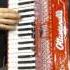 OTTAJI Custom Arabic Tuned Red Sparkle Ottavianelli Junior I Piano Accordion 34 72 LMM 3999