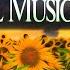 Beautiful Bilateral Music Therapy Sunflowers Heal Stress Anxiety PTSD EMDR Brainspotting