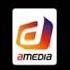 Amedia Sony Pictures Television International 2004