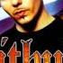 Pitbull Culo