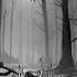 FREE FOR PROFIT Ghostemane Type Beat Flute Of Darkness Dark Trap Instrumental 2023