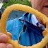 Street Food Challenge Eating NEW YORK Quite Literally