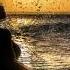You Are My Ocean DJ AURM