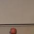 Philon D Alexandrie Dans L Europe Moderne Conférences De François Roudaut Et De Thomas Leinkauf