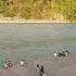 Mother Ganga From Rishikesh Swami Dayananda Ashram Near Janakijula