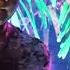 Rituals Promo Live Organic House Experience