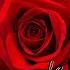 La Vie En Rose Robert Abigail Remix