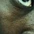 Meek Mill Cold Hearted 2 LYRICS