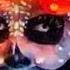 Catrina S On Fire