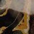 Kim Gordon Hungry Baby Official Video