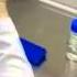 Plant Tissue Culture Techniques
