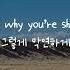 한글가사 Cash Cash How To Love Feat Sofia Reyes EDM Korean Lyrics 자막 해석 의역 번역
