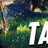Тайны Белого Сада Ведьмак 3 20 Интересных Деталей Которые Легко Пропустить в Белом Саду часть 2