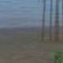 Slim Dusty Bad Days Fishing