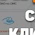 SEO аудит сайта клиники ЭКО