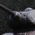 STALINGRAD WORLD WAR II Epic War Music