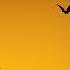 Halloween Instrumental Music Happy Halloween 2021