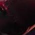 Daredevil Born Again Intro