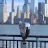 RUNNING LIBERTY STATE PARK 4K TREADMILL SCENERY