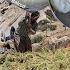 Iran Nomadic Life Making Butter With Maryam S Efforts And Chopping Fodder For The Sheep