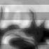Unknown Suffering ZG Remix V4 Official Teaser Wednesday S Cruelty Official W I P