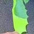 3D Printed Dragon Flight Test