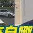 館長不敢拿五星紅旗 公子沈曝因為他還要回台灣 不敢說從哪裡來遭粉紅嗆台獨X 公子沈 他只是來做表演的 94要賺錢