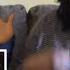 Danielle Bregoli Is BHAD BHABIE Hi Bich Whachu Know Official Music Video REACTION